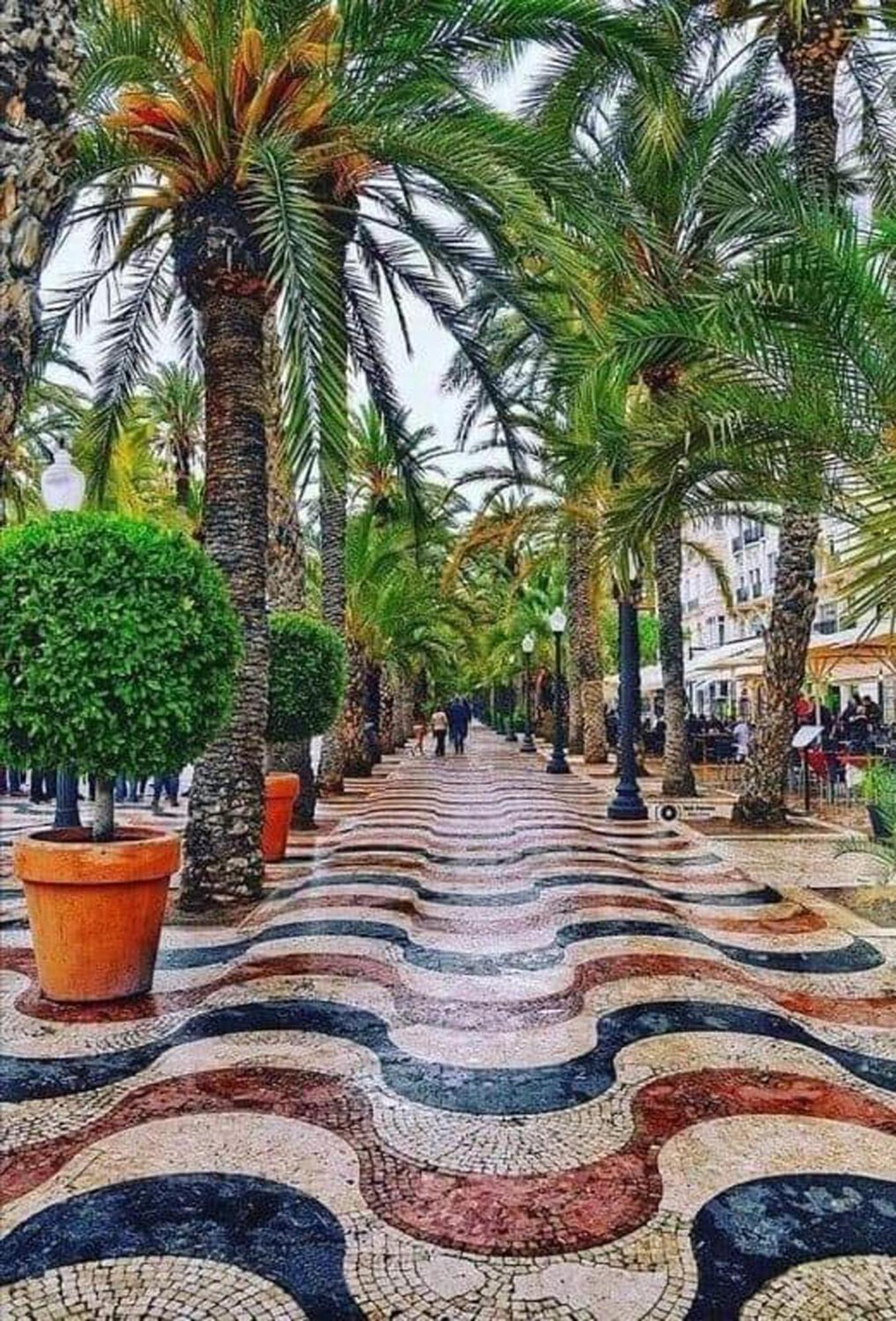 -Saint Thomas- Alicante Old Town Extérieur photo